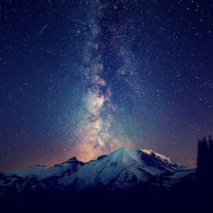 Meet your Posher, Skye